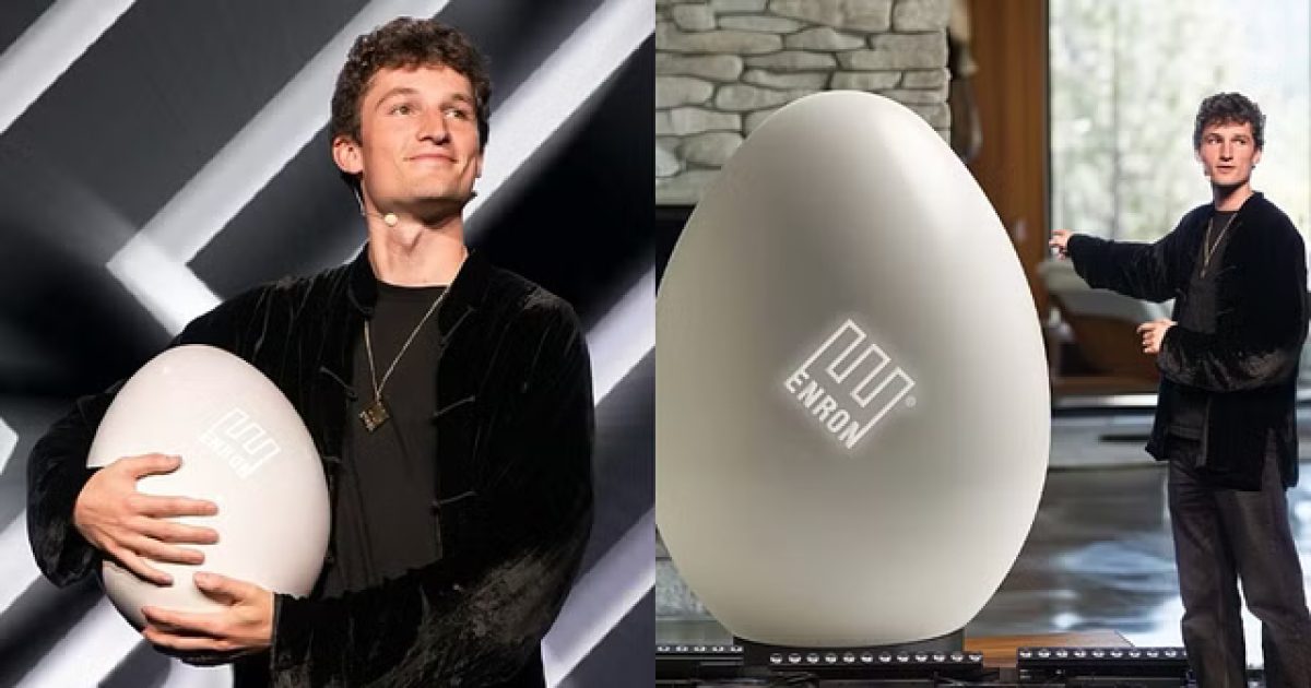 Enron Egg - Enron Egg Nedir? Ne işe yarar?